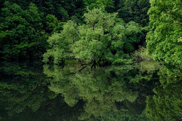 奈良の風景　Country scenery Nara Japan