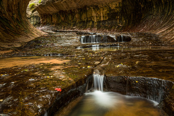 A red leaf laying at the Edge of an Emerald Pool in the Subway, a famous Back Country Hiking Trail in Zion National Park, Utah/USA