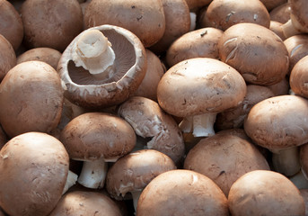 Fototapeta na wymiar Portobello mushrooms Agaricus bisporus in display for sale