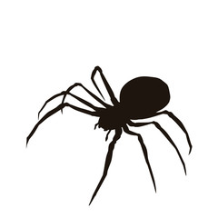Spider Silhouette