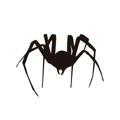 Spider Silhouette