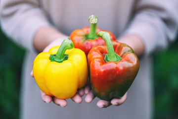 A woman holding a fresh bell peppers in hands