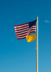 Yellow Flag at the Beach