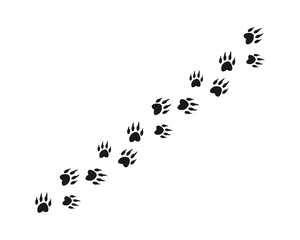 Animal footprint background template vector