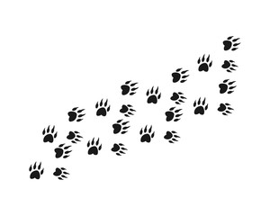 Fototapeta na wymiar Animal footprint background template vector