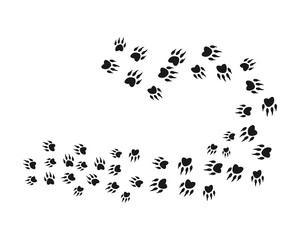 Animal footprint background template vector