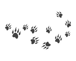 Animal footprint background template vector