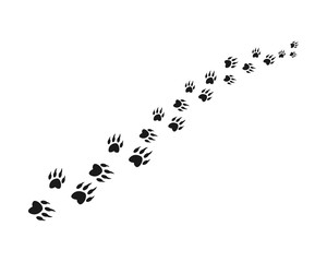 Obraz premium Animal footprint background template vector