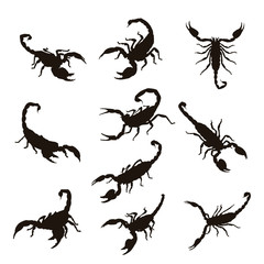 Scorpion Silhouettes