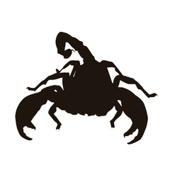 Scorpion Silhouette