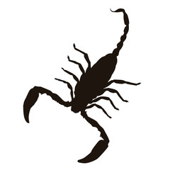 Scorpion Silhouette