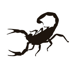 Scorpion Silhouette
