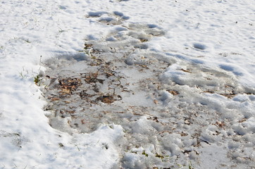 Frozen Gravel