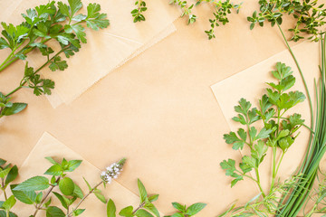Fresh herbs cilantro chives mint thyme and taragon on brown paper background with copy space