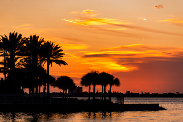 Sunset at sea palm trees landscape