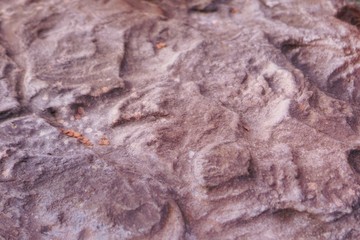 texture of stone