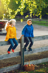 Two cute funny Caucasian children boy girl sitting on wooden rustic fence in park farm outside....