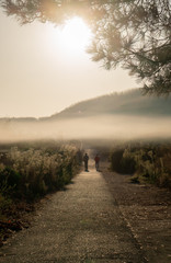 Fototapeta na wymiar two persons walking on a path with fog above theme