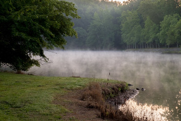 The early morning mist makes for a moody but beautiful beginning of the day at Grundy Lakes Park in Tracy City, Tennessee of the South Cumberland State Park system.