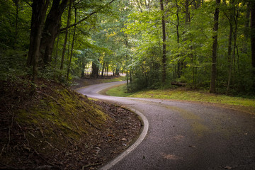 Fototapeta premium The winding road or paved path that encircles Grundy Lakes Park in Tracy City, Tennessee of the South Cumberland State Park system.