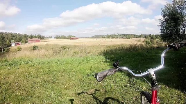 フィンランドの緑いっぱいの草原