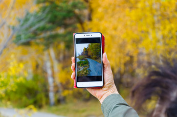 A scarecrow in a jacket in the middle of the forest.