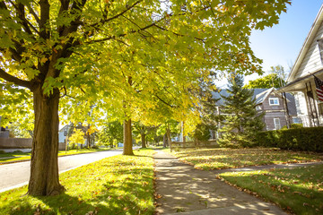Autumn park natural landscape. Golden leaves foliage on trees in front of road in village at late Autumn