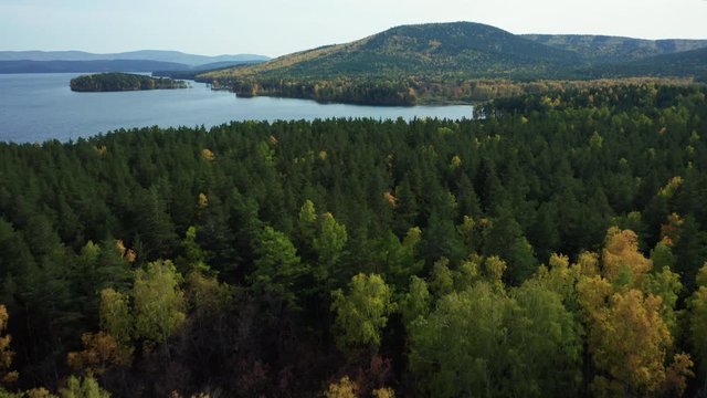 Aerial panoramic view of Turgoyak national park with beautiful pure water of lake and relict forest with pines, birches; autumn sunny evening with colorful foliage of deciduous trees; famous landmark