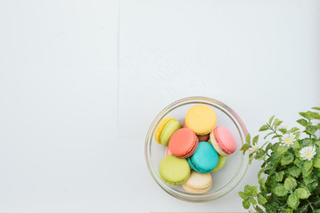The background is full of various styles of macaron.