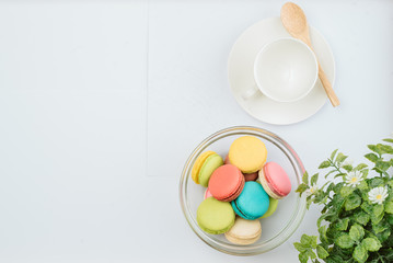 The background is full of various styles of macaron.