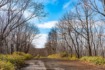 Obraz premium Hosooka observation deck in Kushiro Shitsugen national park in spring day. The largest wetland in Japan. The park is known for its wetlands ecosystems. Kushiro, Hokkaido, Japan