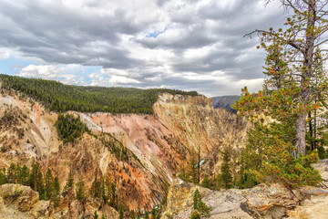 Grand Canyon of the Yellowstone from Artist Point