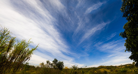 paisagem com céu azul 