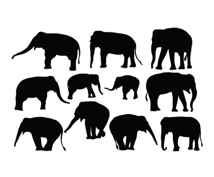 Elephant Activity Silhouettes, art vector design