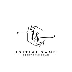 TS Beauty vector initial logo, handwriting logo.