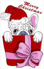 Cute puppy sits in a gift. Merry Christmas - lettering quote.  DOG Card, t-shirt composition, hand drawn style print. Vector illustration