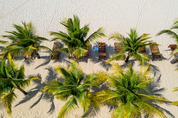 Aerial view of palm trees on beach sand in summer 