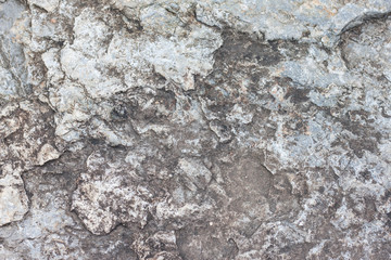 The surface of the stone for background and textures.