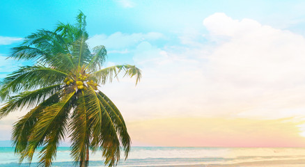 Fototapeta na wymiar Coconut palm tree with blue sunset sky and sea background, copy space text area, wide composition.