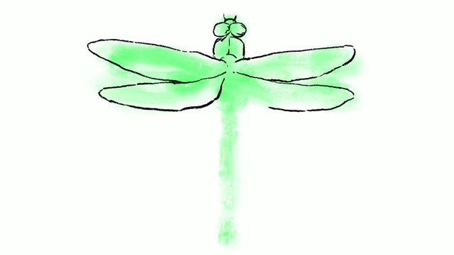 Time lapse video 2D animation of a drawing of a Dragon Fly or dragonfly on white screen in HD high definition.