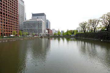 Fototapeta na wymiar Green lake with small wave in city view along with trees ,waterfront business area in the city of Tokyo , Japan