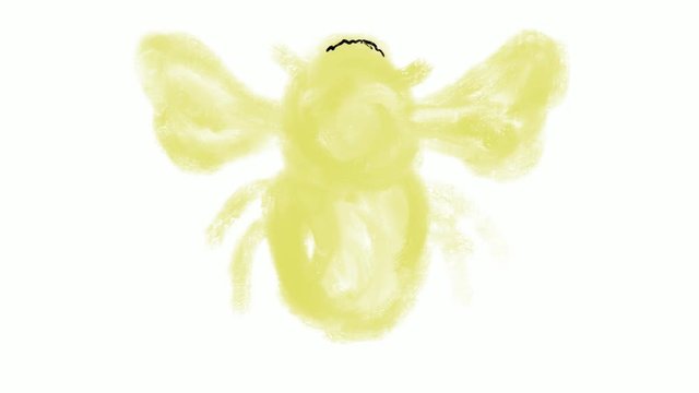 Time lapse video 2D animation of a drawing of a bumblebee, bumble bee or honeybee on white screen in HD high definition.