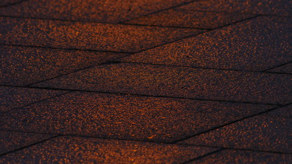 雨に濡れた歩道