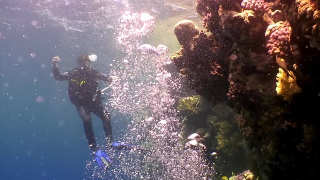 Cameraman shoots video young woman underwater model mermaid. Creativity and art of creating images on background of seabed.