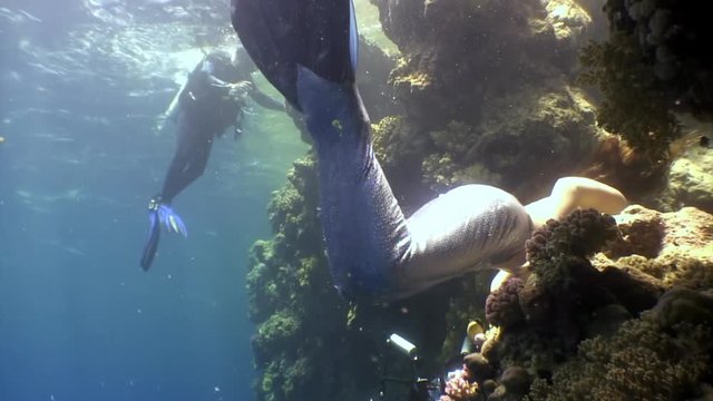 Cameraman shoots video young woman underwater model mermaid. Creativity and art of creating images on background of seabed.