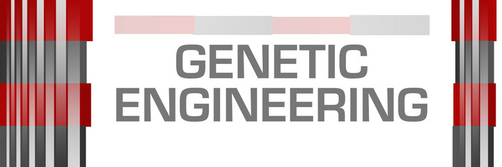 Genetic Engineering Red Grey Bars Both Sides 