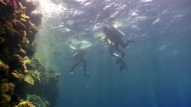 Cameraman shoots video young woman underwater model mermaid. Creativity and art of creating images on background of seabed.