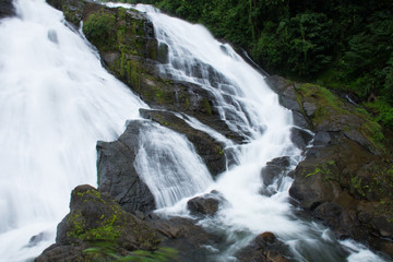 waterfall in forest