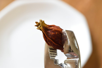 クチナシの実を割る