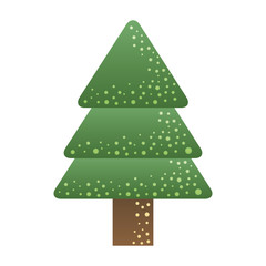 merry christmas pine tree icon